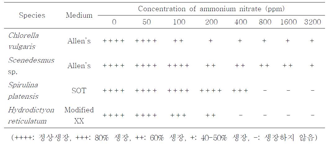Ammonium nitrate 처리농도에 따른 몇가지 조류의 생장율