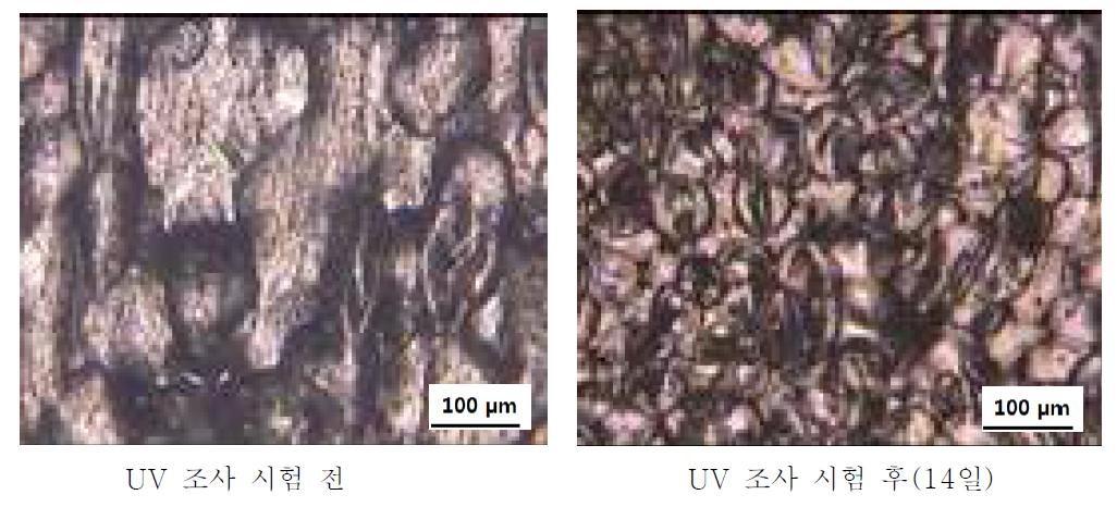 PS + Ce 1 wt% + PLLA/PBAT 3 wt% UV 조사시험 전-후 광학현미경 사진