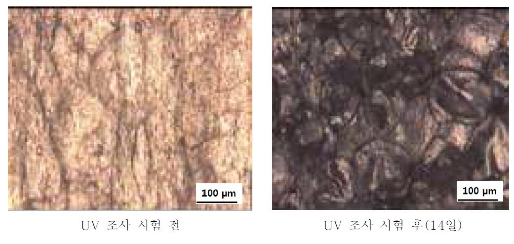 PS + Ce 3 wt% + PLLA/PBAT 9 wt% UV 조사시험 전-후 광학현미경 사진
