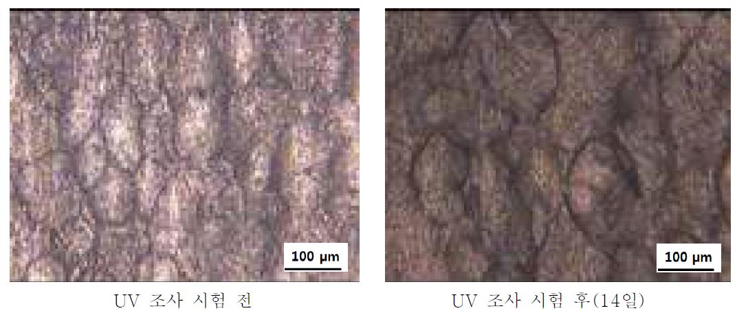 PS + Ce 3 wt% + PLLA/PBAT 20 wt% UV 조사시험 전-후 광학현미경 사진