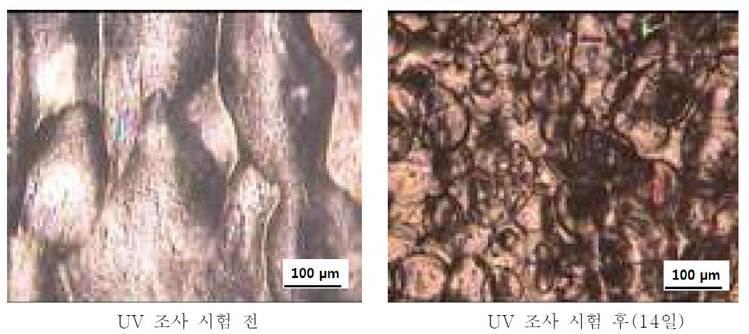PS + Ce 1 wt% + PLLA/PBAT 3 wt% + MnO2 1 wt% UV 조사시험 전-후 광학현미경 사진