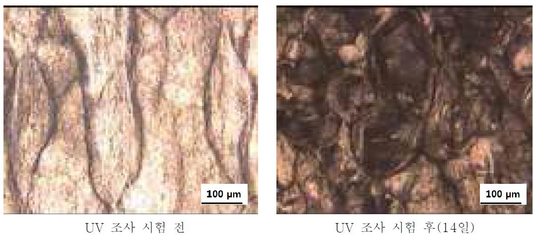 PS + Ce 3 wt% + PLLA/PBAT 9 wt% + MnO2 1 wt% UV 조사시험 전-후 광학현미경 사진
