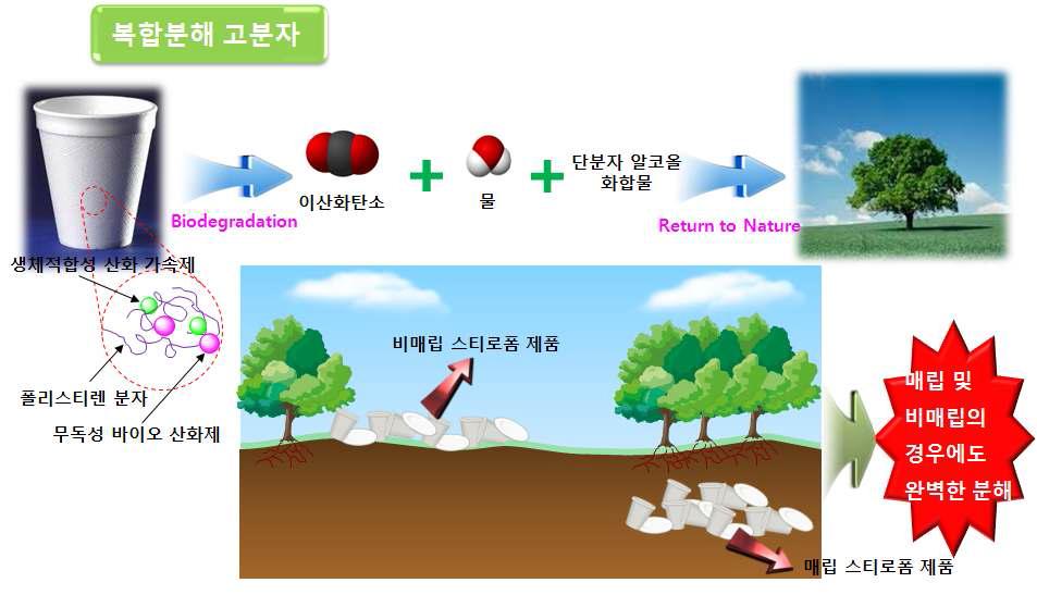 복합분해성 스티로폼 시트 제조 개념도