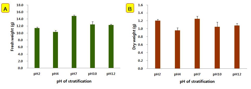 층적처리 pH에 따른 가시박의 생중량(A)과 건중량(B) 비교