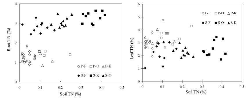 가시박 (S. angulatus; ●, ■, ▲)과 칡 (P. lobata; ○, □, △)의 토양 질소 함량에 따른 체내 질소 축적량