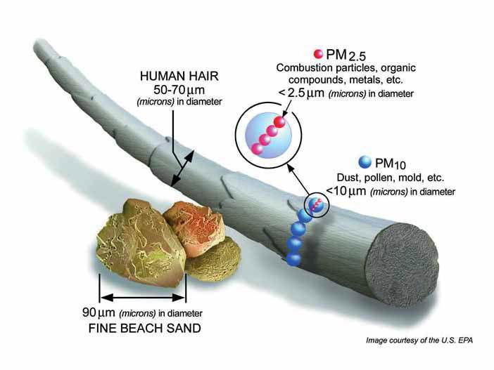 먼지입자 크기 비교