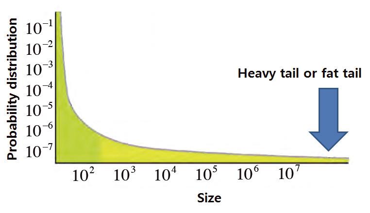 복잡계의 멱법칙 분포함수와 두터운 꼬리