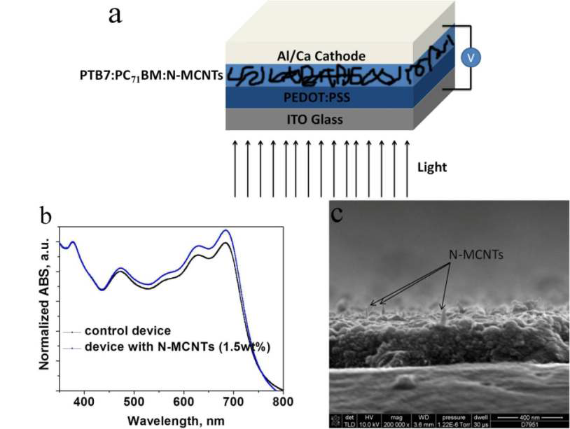 (a) NCNT 가 적용된 유기태양전지의 모식도. (b) PTB7:PC71BM (black), PTB7:PC71BM: NCNTs (blue)의 UV-vis 흡수 스펙트럼 분석. (c) PTB7:PC71BM:NCNTs 유기활성증의 SEM 단면이미지.
