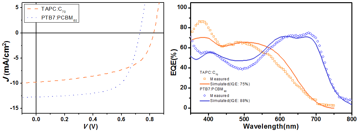 TAPC:C70, PTB7:PCBM60 단층 태양전지의 J-V 특성(왼쪽)과 측정된 EQE 와 계산된 EQE 값의 비교(오른쪽)