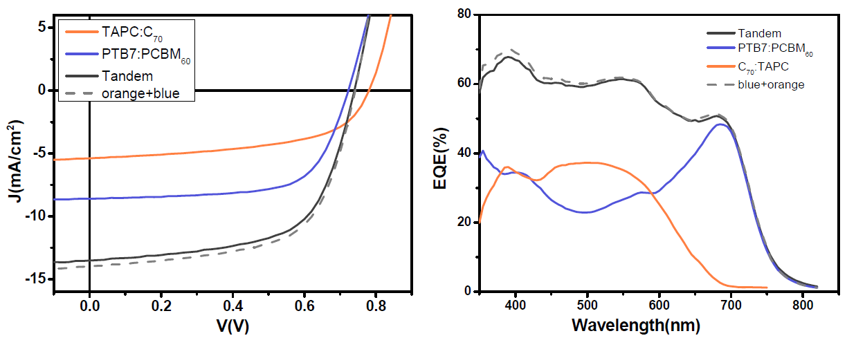 MoO3/Ag/MoO3 를 중간 전극층으로 하고 PTB7:PCBM60, TAPC:C70 를 광활성층으로 사용한 병렬 탠덤과 각 하부 셀의 J-V 특성(왼쪽)과 EQE 측정값(오른쪽)