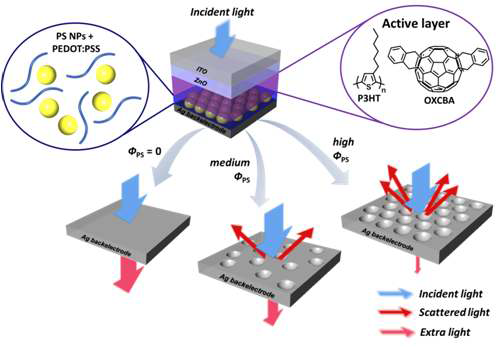 Device structure of the inverted PSCs. Schematic illustration of light trapping behavior for devices with nanostructured back electrodes.