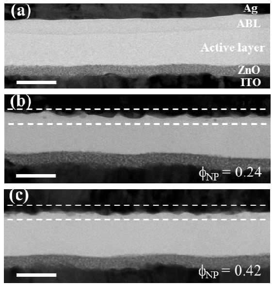 Cross-sectional TEM images of inverted PSCs with various ϕNP values. The images show the layered structure in the device, ITO/ZnO/Active layer (P3HT:OXCBA)/PS NP-PEDOT:PSS ABL/Ag electrode