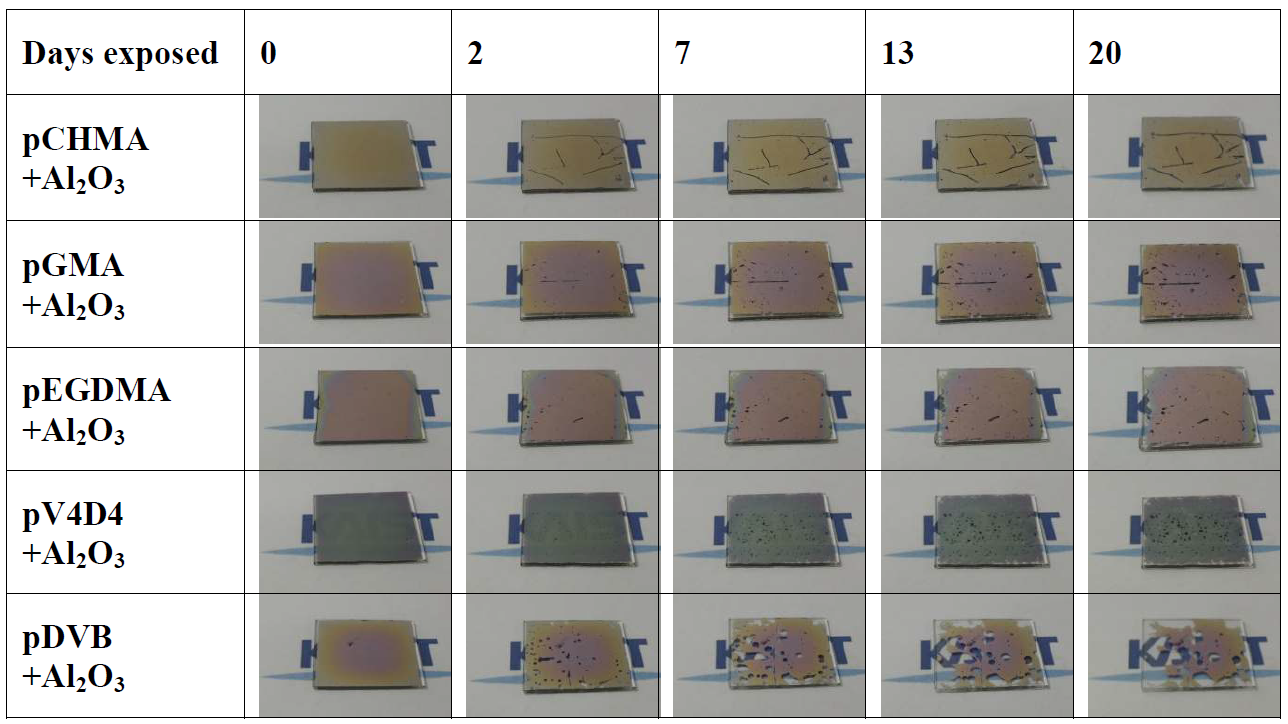 Qualitative Calcium test of the hybrid layer