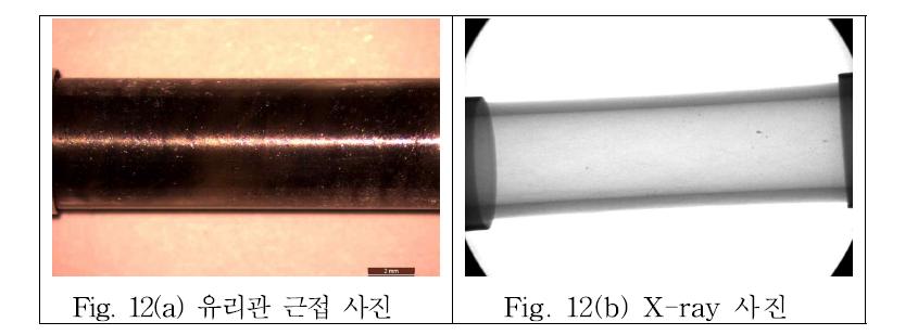 2.5 kV 서지전압 인가시 퓨즈의 용단형상