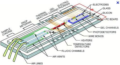 Lab on a chip의 모식도