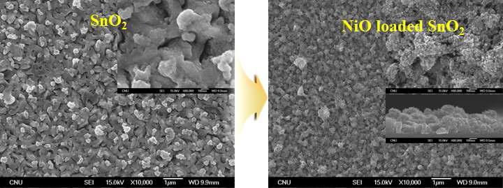 SnO2-NiO 박막센서의 SEM사진