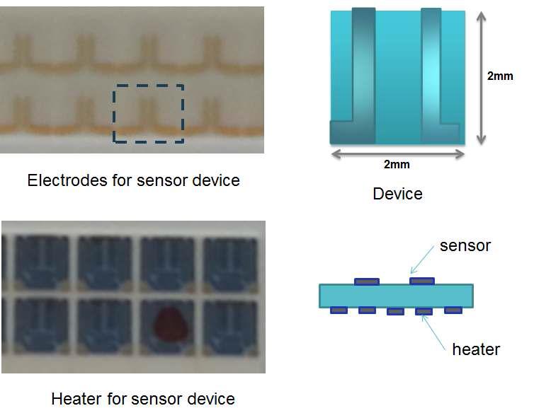 센서 기판 사진 및 모식도