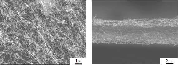 In-situ 아크 방전법에 의해 합성된 단일벽 탄소나노튜브 template의 주사전자 현미경 사진 평면 및 측면도