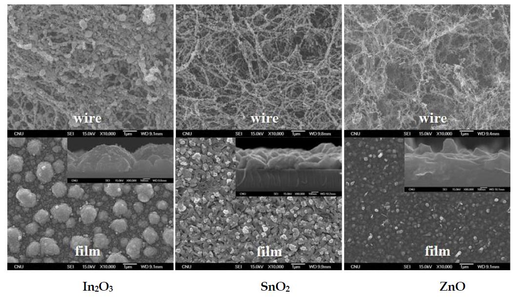 In2O3, SnO2, ZnO 의 나노선 및 박막구조 SEM사진