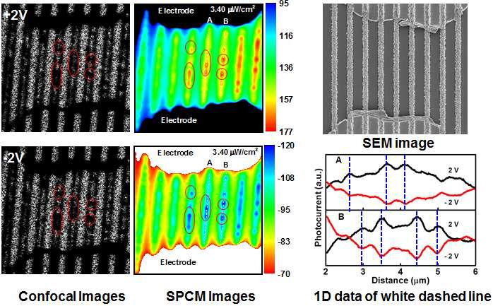 공초점 현미경 이미지와 관련 SPCM 이미지 및 SEM 이미지와 관련 전류 분포도