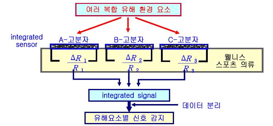 전기전도성 고분자 나노섬유 웹 센서의 집적화 및 최적화