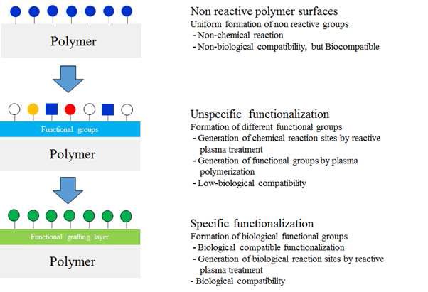 플라즈마 노출에 의한 고분자 표면의 개질방법