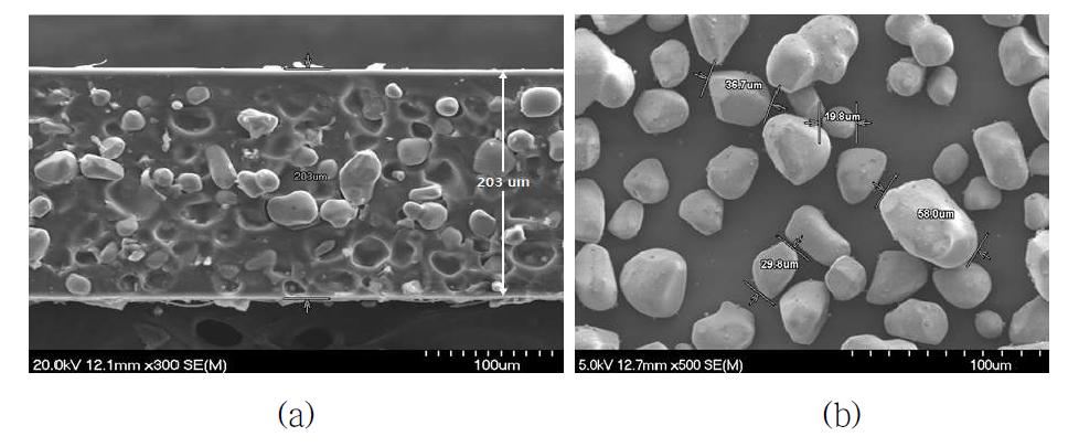 FE-SEM image of ZnS-based stretchable emission film