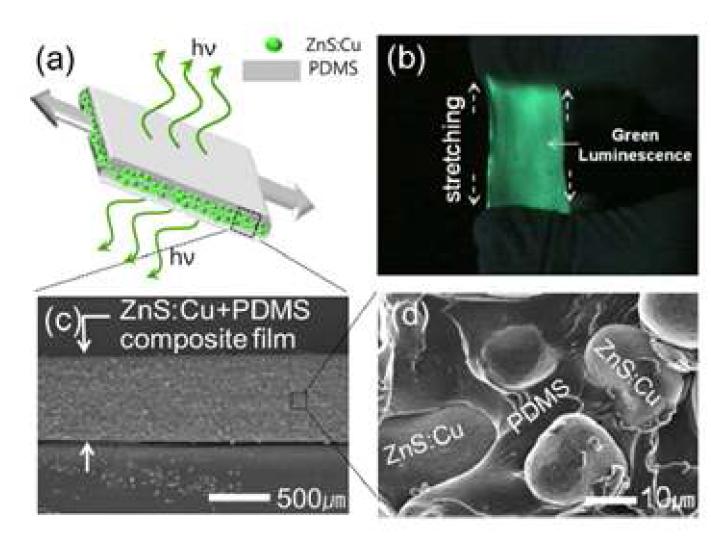 외부 기계적 stress 부가시, ZnS:Cu + PDMS 기계발광 복합필름의 발광 (a, b) 및 단면 SEM 이미지