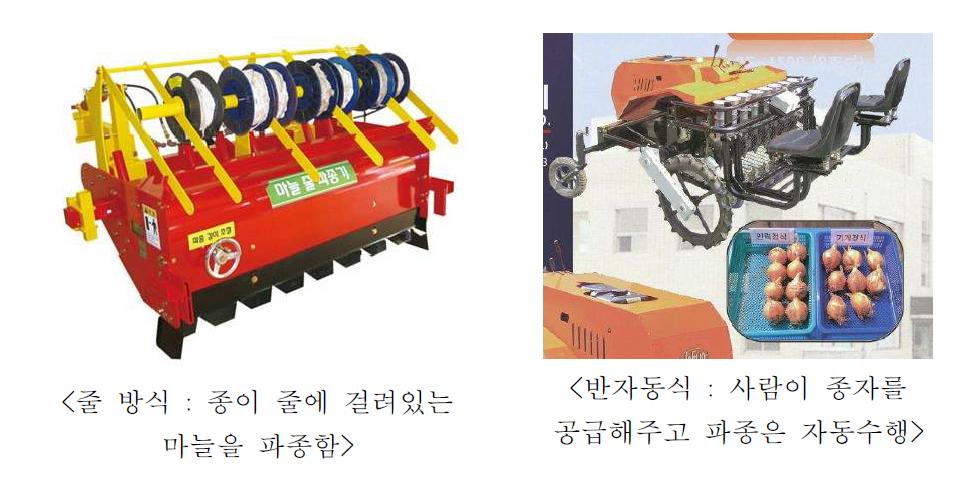 줄 방식과 반자동식 마늘 파종기