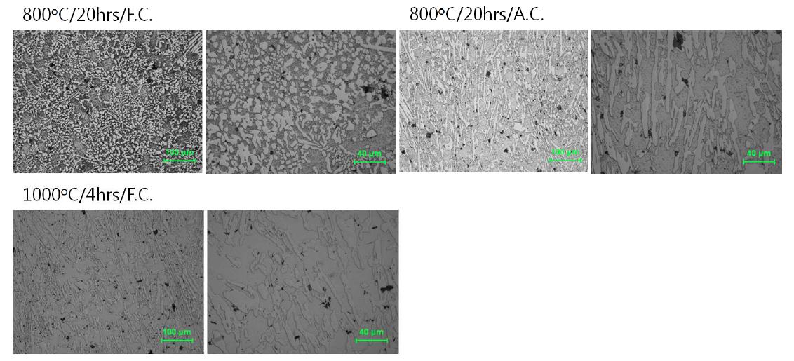 열처리 조건에 따른 미세조직 변화