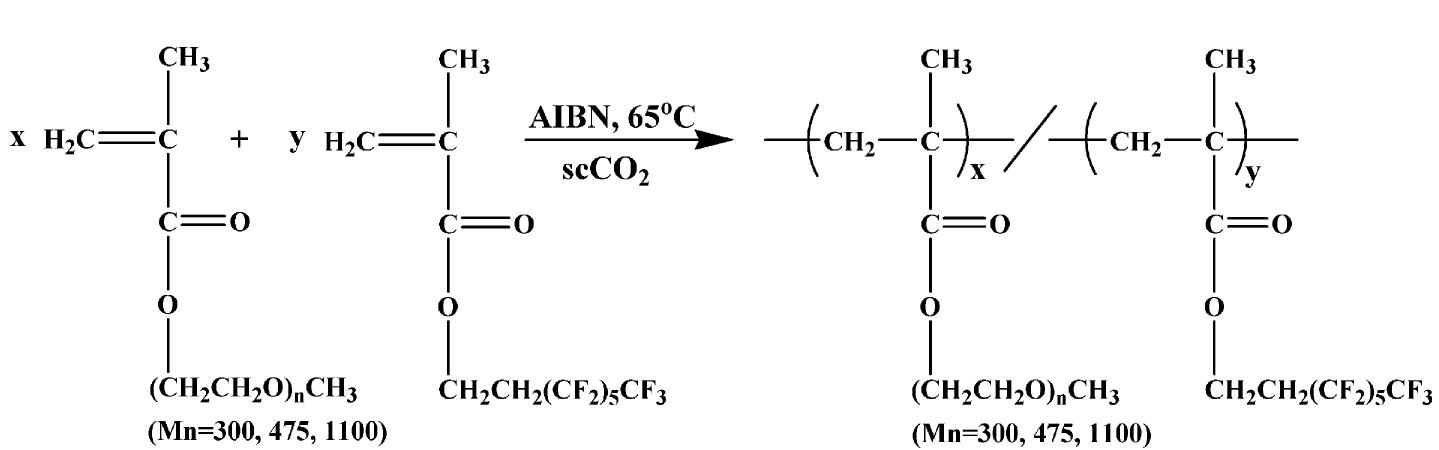 이산화탄소 용매를 이용한 부분불소계 공중합체의 합성