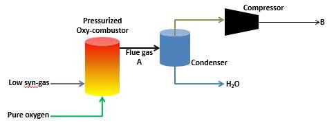 Preliminary simulation on pressurized oxy-combustion