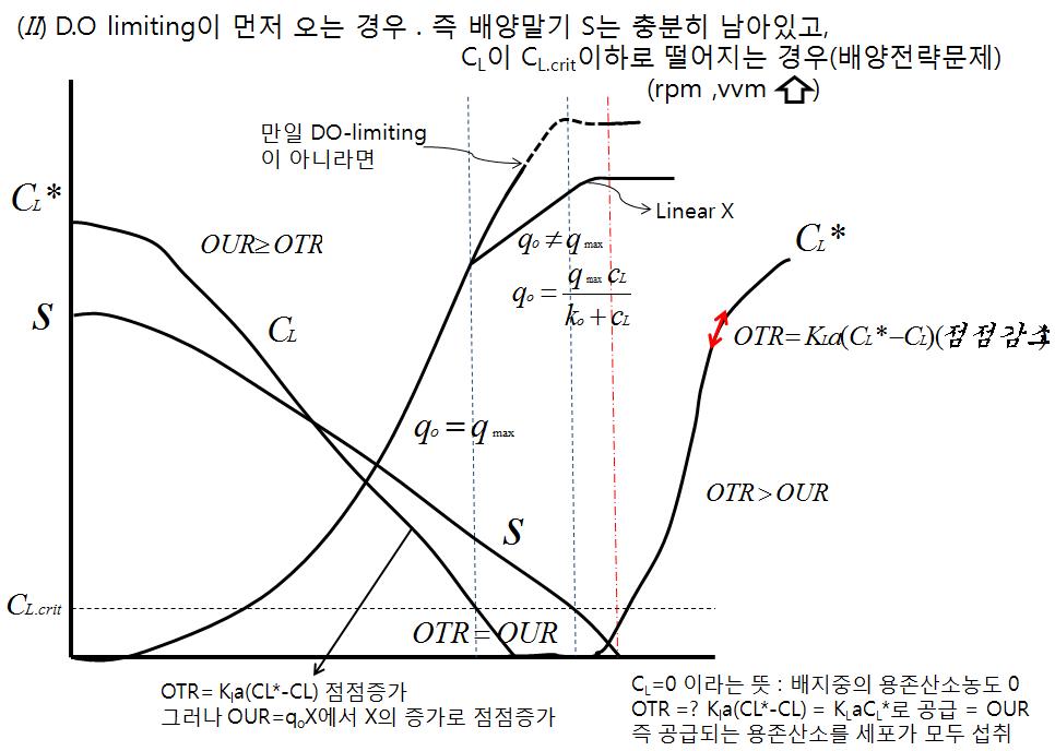 The relationships among cell growth, specific oxygen uptake rate and dissolved oxygen level.