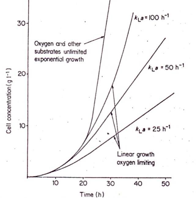 Effect of oxygen mass transfer rate on the cell growth rate.