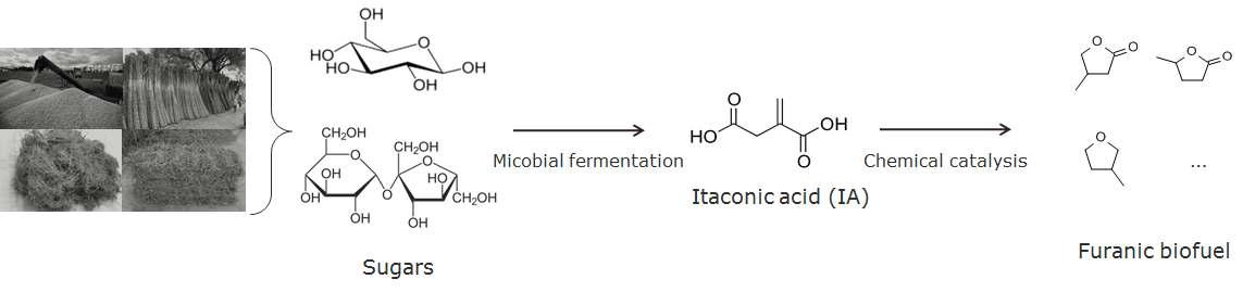 바이오/화학 하이브리드 전환공정에 의한 퓨란계 바이오연료 전구체 생산