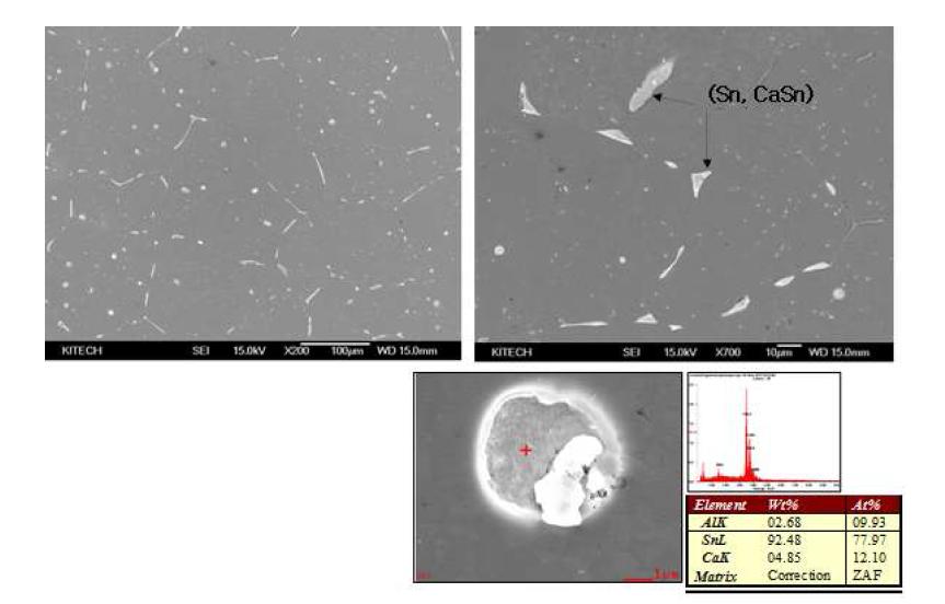 Al-4Sn-0.5Ca-0.5B 합금의 미세조직