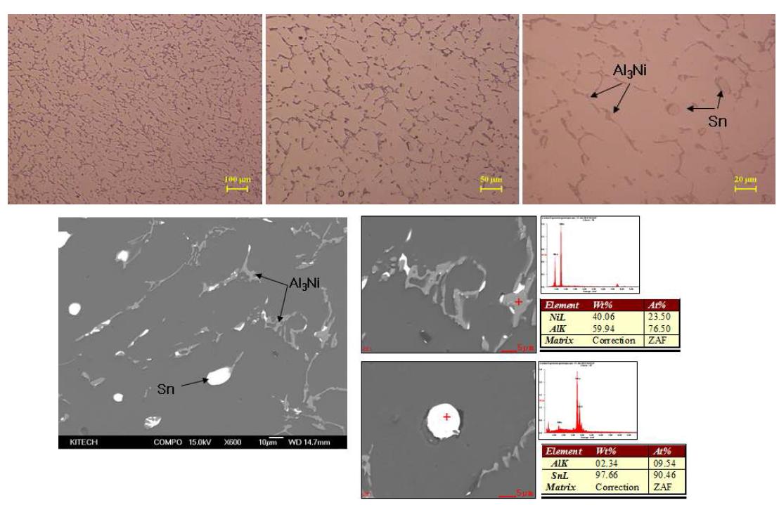 Al-4Sn-2Ni 합금의 미세조직