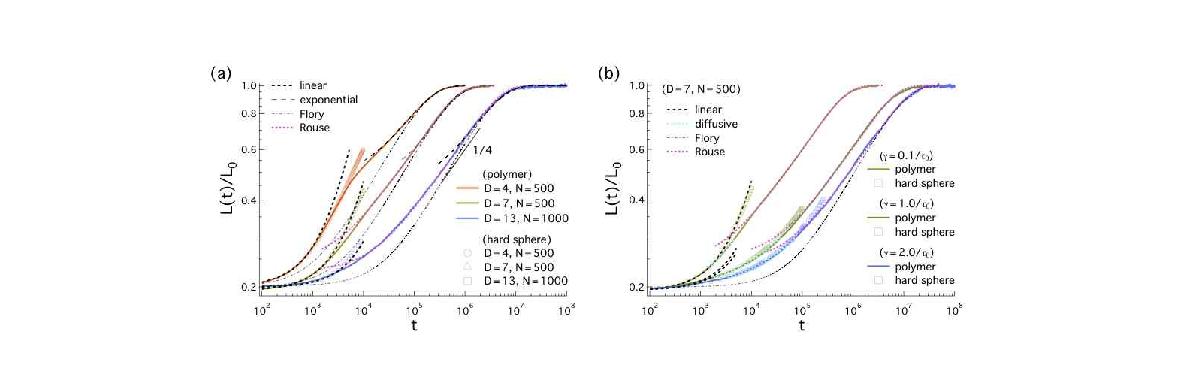 Chain dynamics under confinement