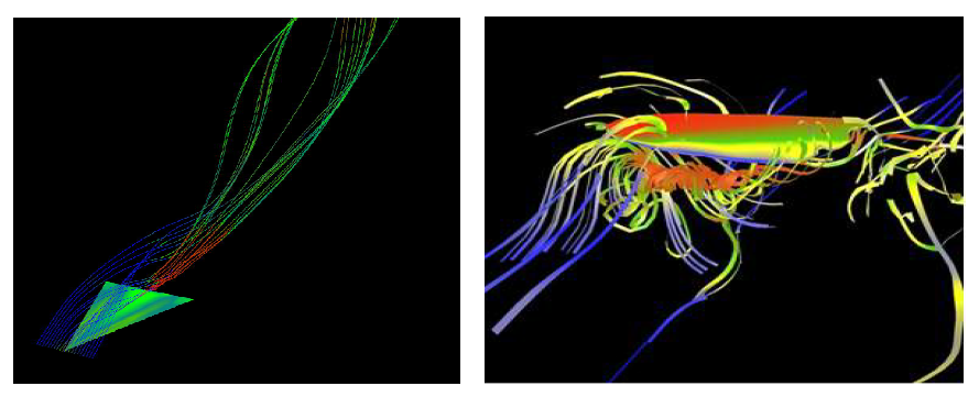 Pathline in the DeltaWing Dataset (right) and InsectWing Dataset (left)