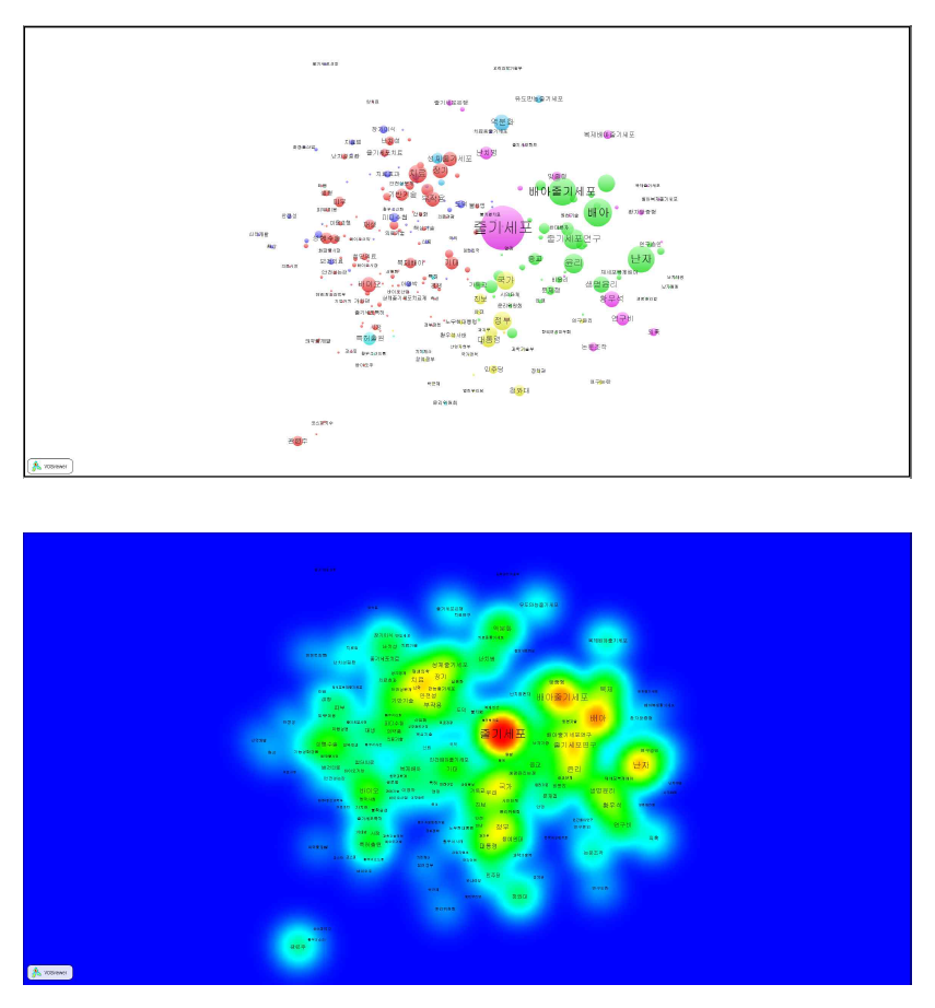 줄기세포: 신문기사 한겨레 본문 co-word map