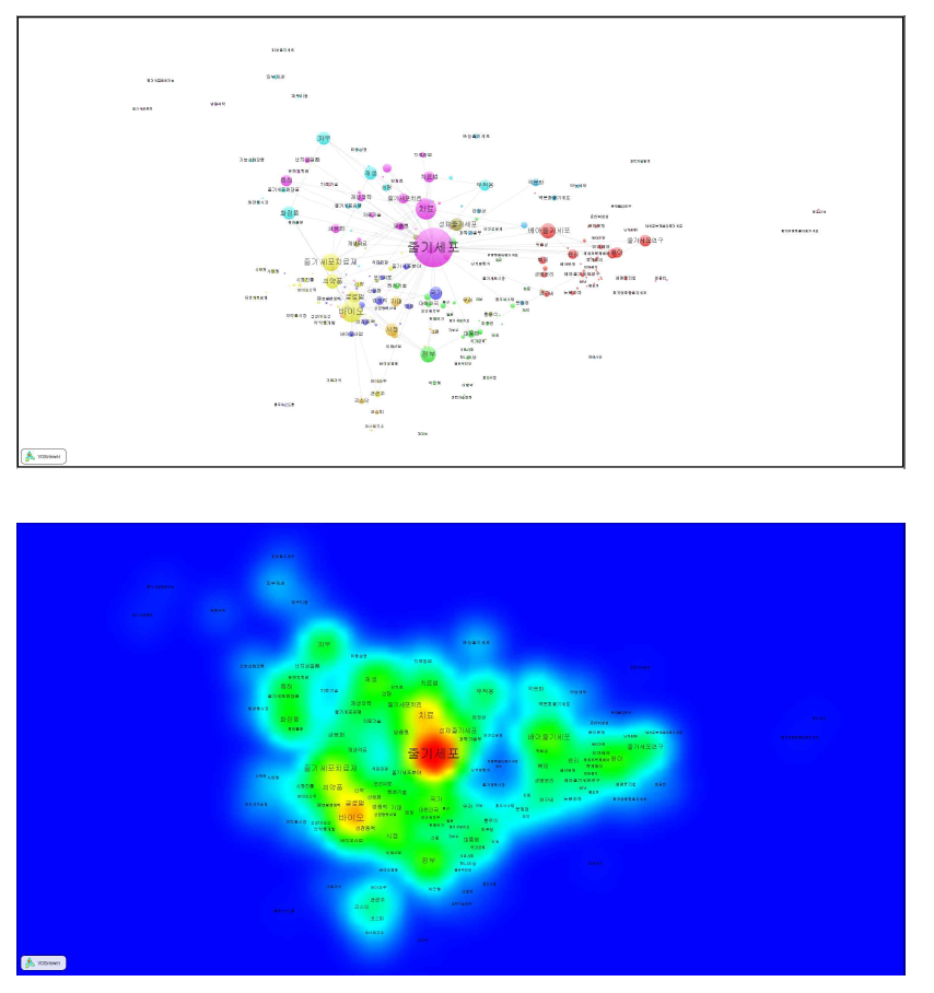 줄기세포: 신문기사 본문(2010~2013) co-word map