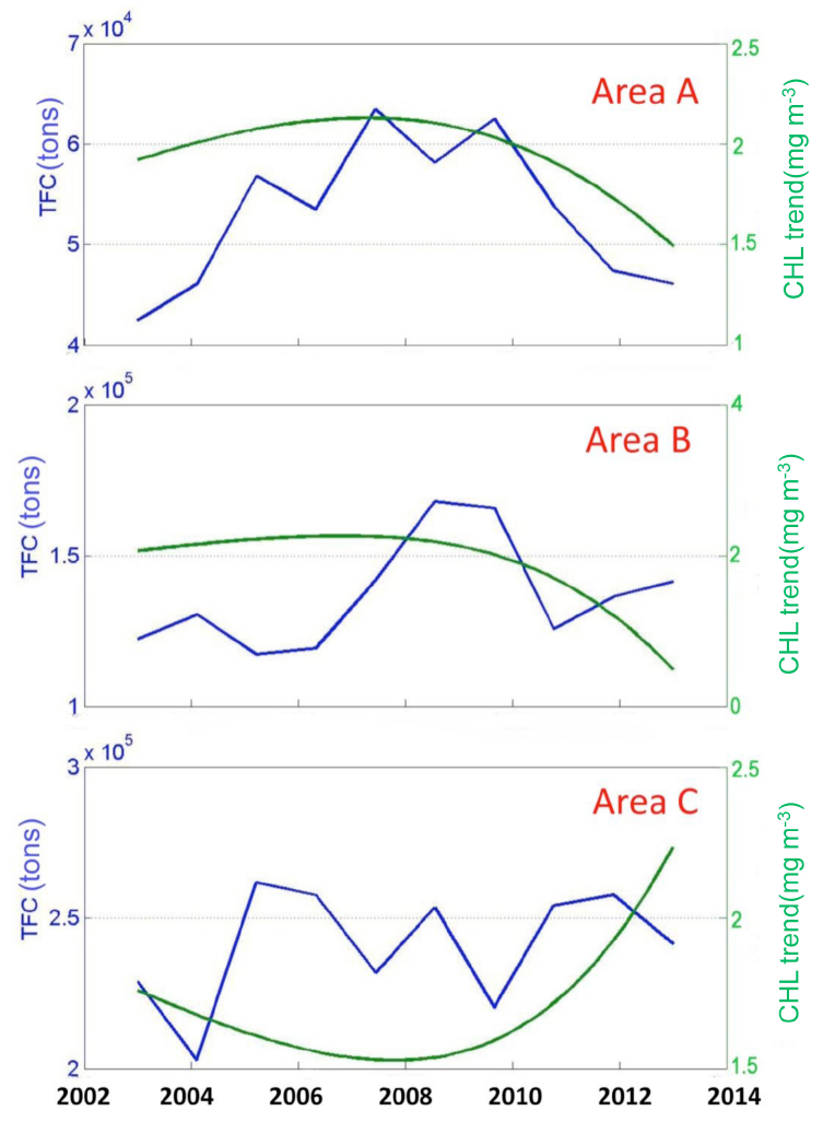 동해 연안 세 지점(A~C)에서의 연간 총 어획량의 변화(청색)와 CHL 비선형 추세 (녹색). 각 지점의 위치는 그림 3-6 참조. 시각적 비교를 위해 A와 B의 경우CHL에 2를 곱한 값을 표시함.