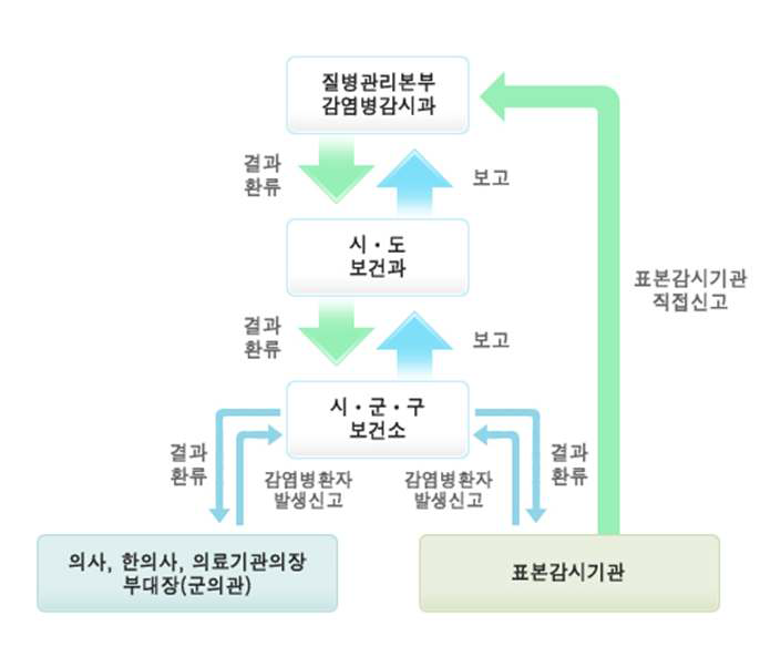 감염병 발병 시 보고체계