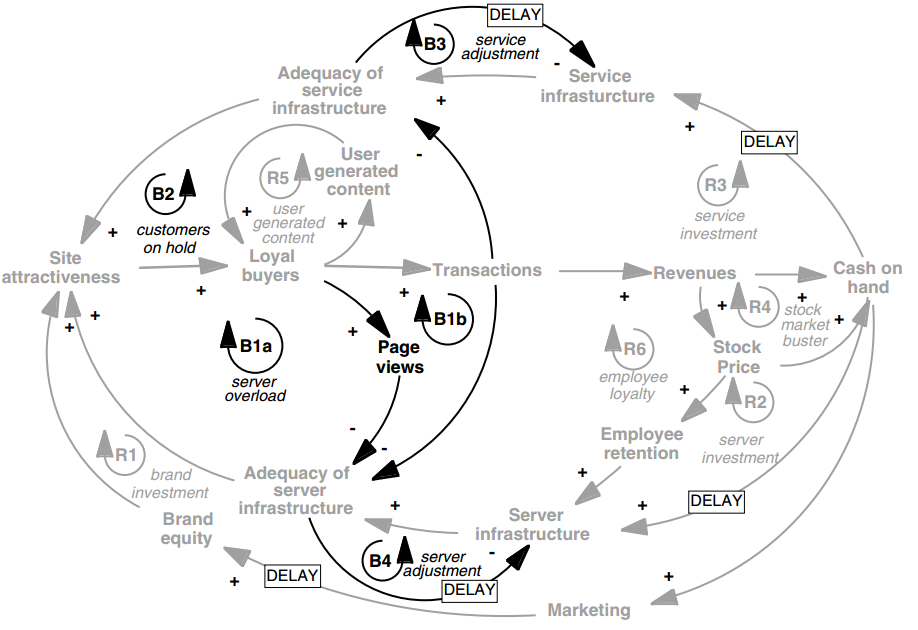 Feedback relationship in negative and positive loops