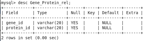 Gene_Protein_rel 스키마