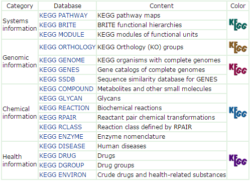 KEGG 데이터베이스 구조