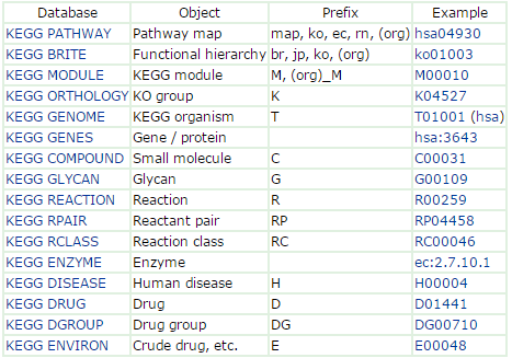 KEGG 데이터 객체 구조