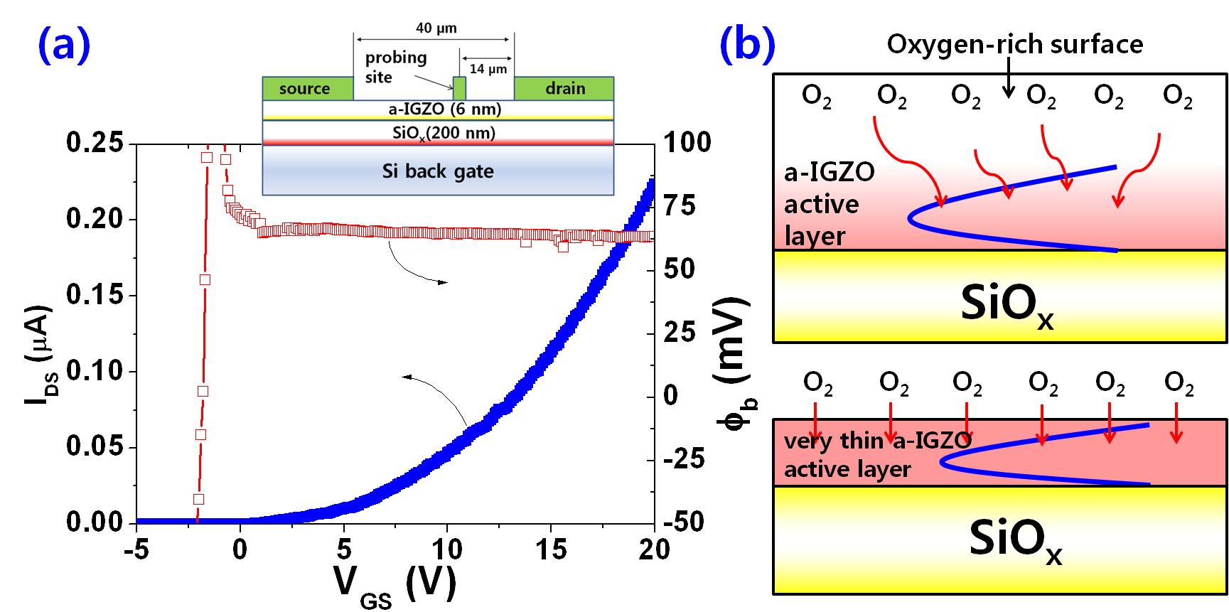 (a) GFP 방법으로 측정된 Back channel potential (b) oxygen molecule에 의한 instability의 대략적 설명, 파란색 곡선은 quantum mechanical한 electron density의 분포