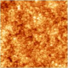 sol-gel법을 이용하여 형성된 ZnO 박막의 AFM image