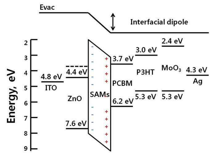 SAM 처리된 ZnO를 포함하는 P3HT:PC60BM 기반 인버트 구조의 유기태양전지 단위 소자의 energy diagram